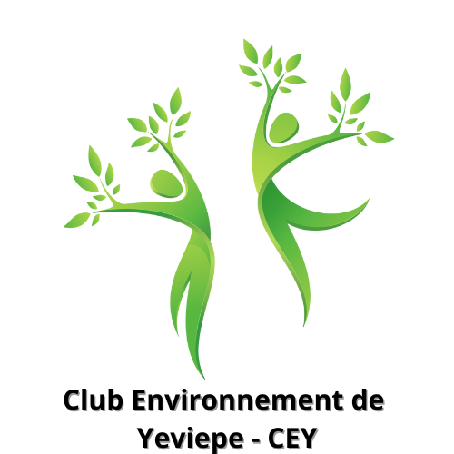 Yeviepe bat au rythme environnemental